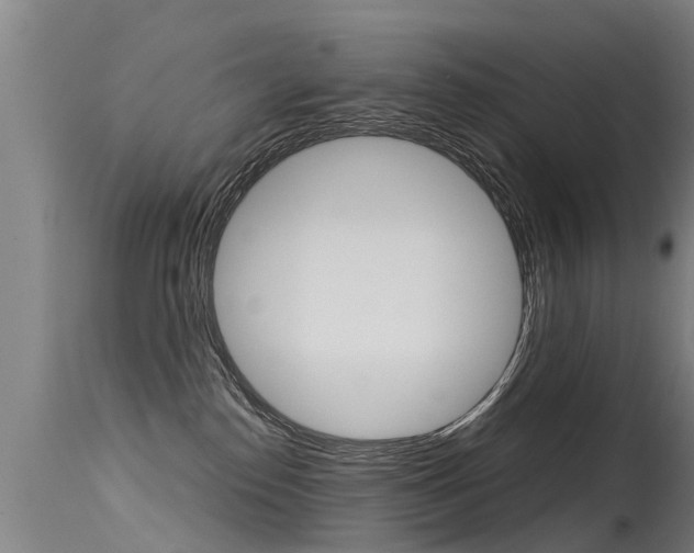 X0000115580186200911101002