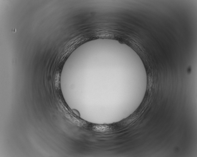 X0000115580189200911101002