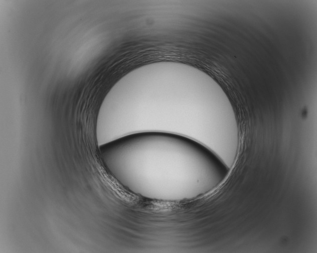 X0000115580190200911101002