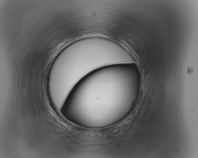 X0000115580193200911101002