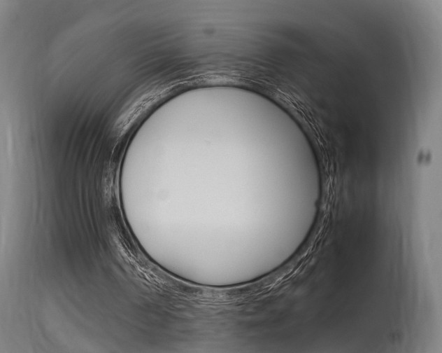 X0000115580194200911101002