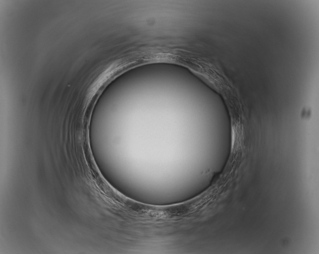 X0000115580195200911101001