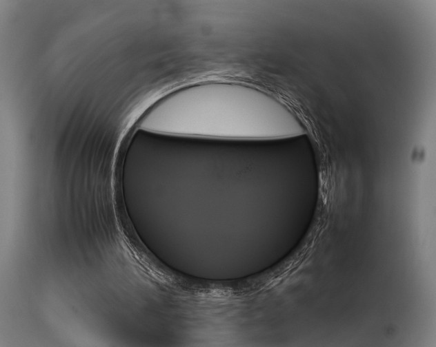 X0000115580196200911101001