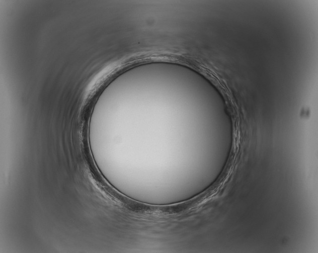 X0000115580197200911101001