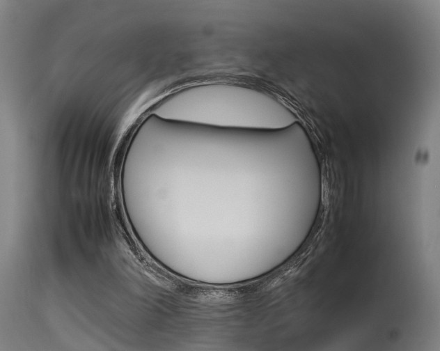 X0000115580198200911101001