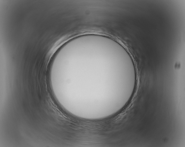 X0000115580199200911101001