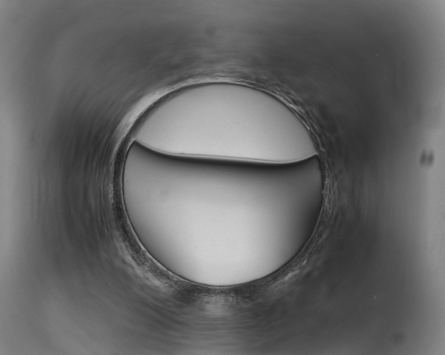 X0000115580200200911101001