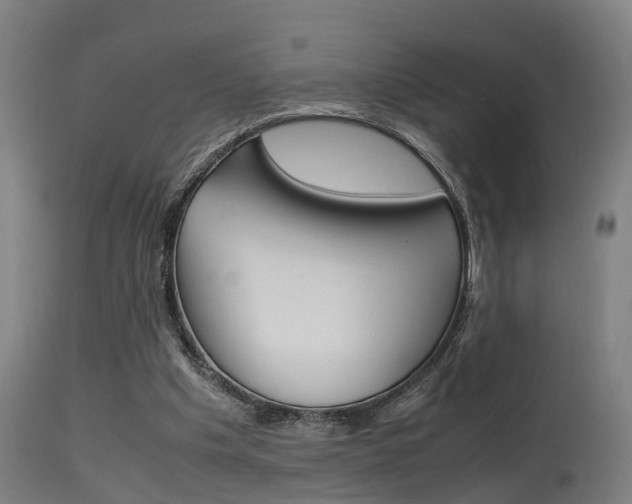 X0000115580201200911101001