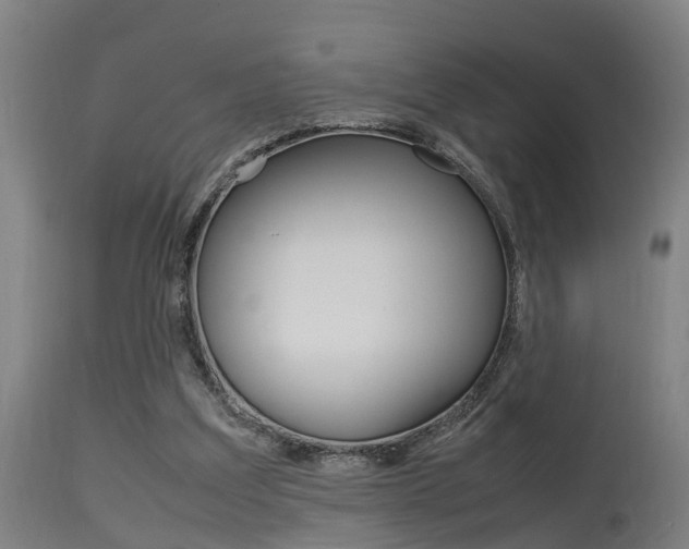 X0000115580203200911101001