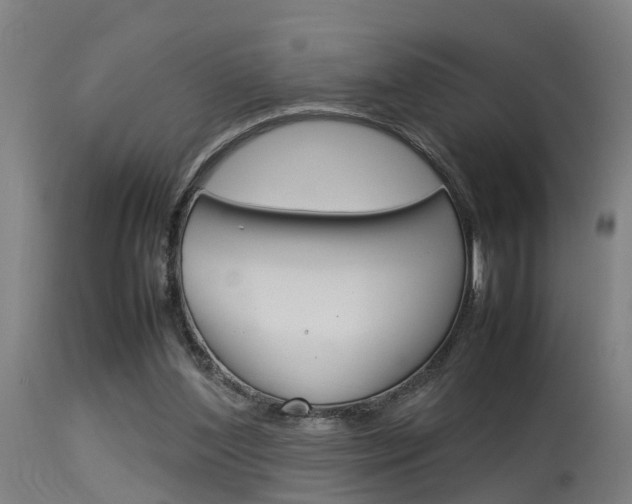 X0000115580204200911101001