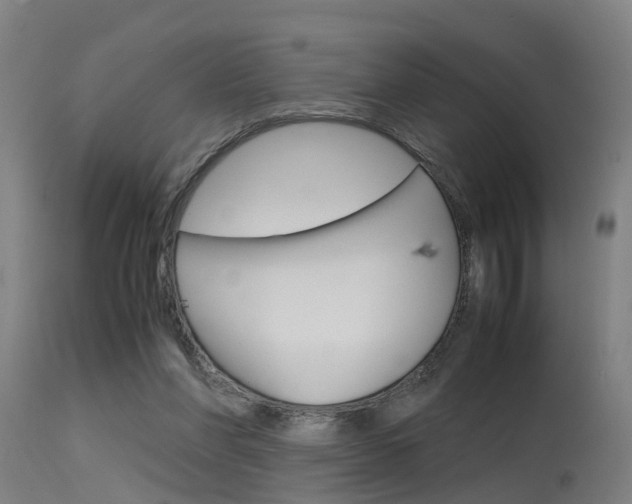 X0000115580206200911101001