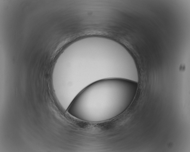 X0000115580207200911101001