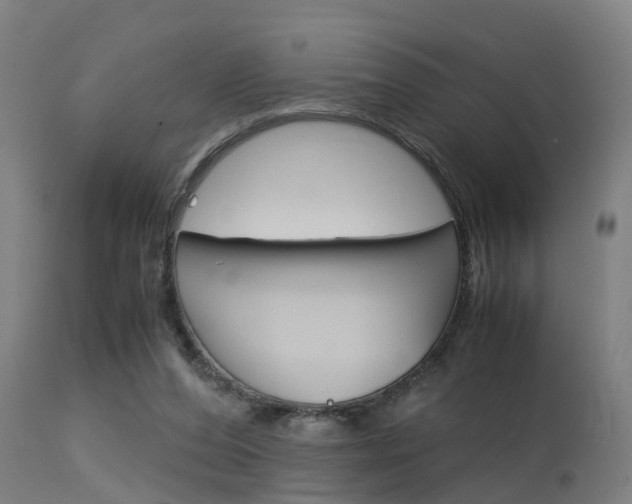 X0000115580208200911101001