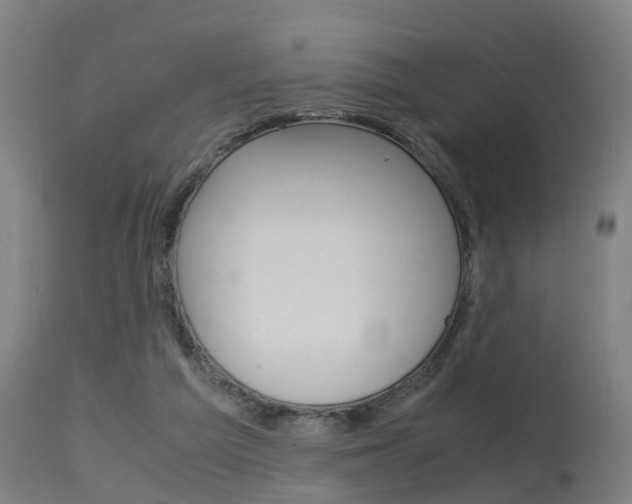 X0000115580209200911101001