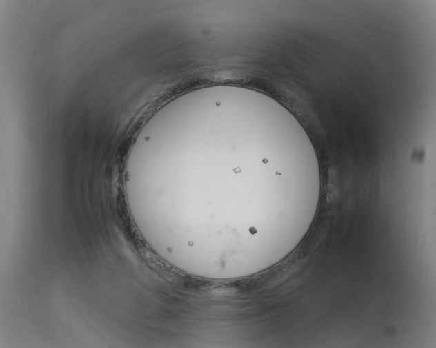 X0000115580210200911101001