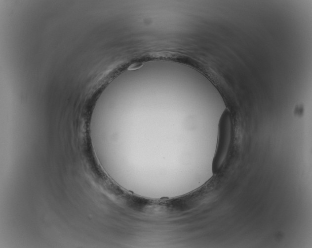 X0000115580211200911101001