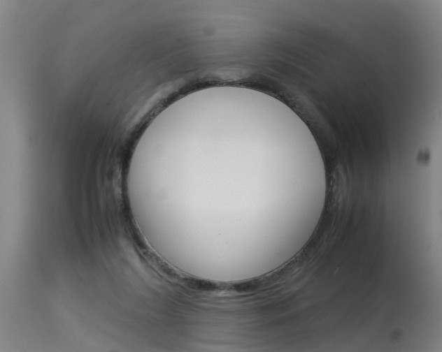 X0000115580212200911101001