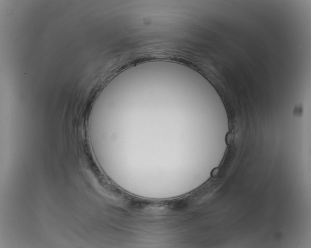 X0000115580213200911101001