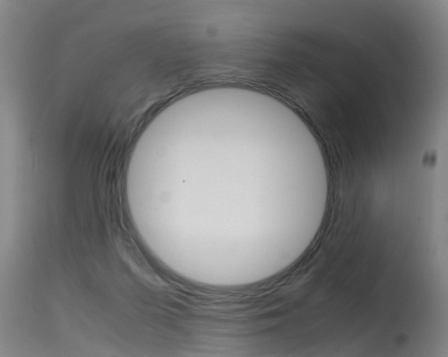 X0000115580215200911101001