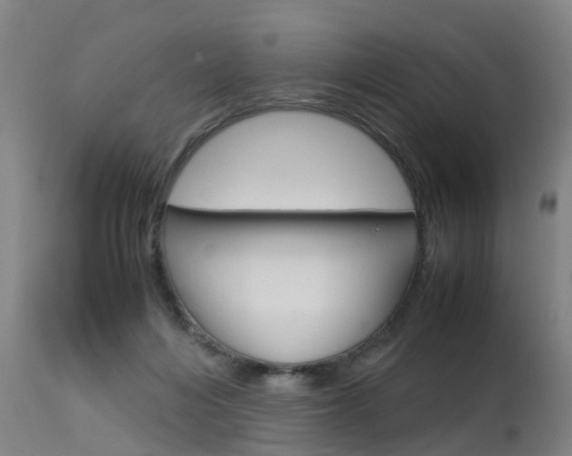 X0000115580216200911101001