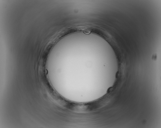 X0000115580217200911101001