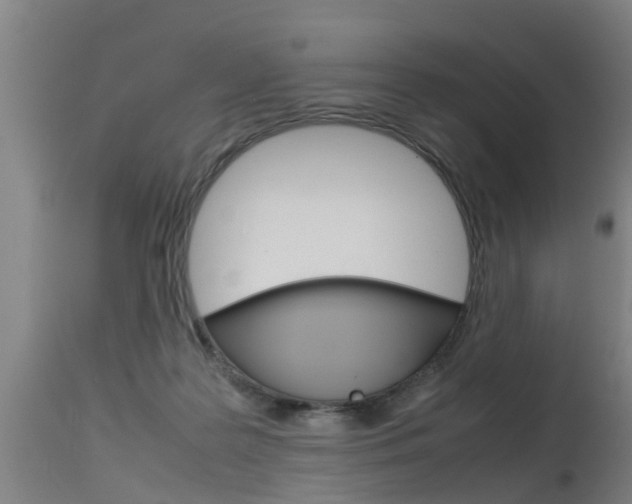 X0000115580219200911101001