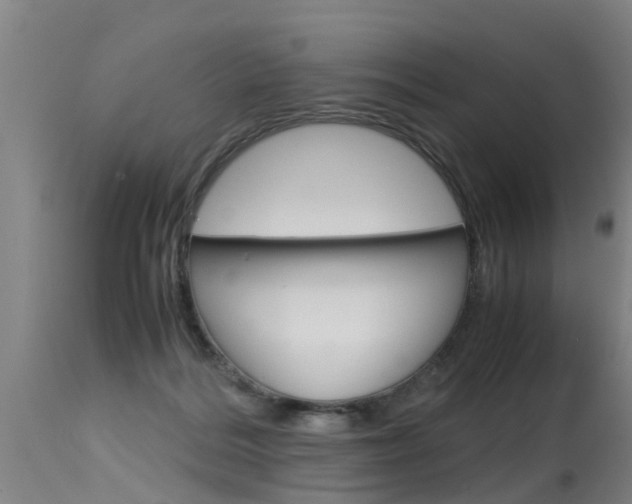 X0000115580220200911101001