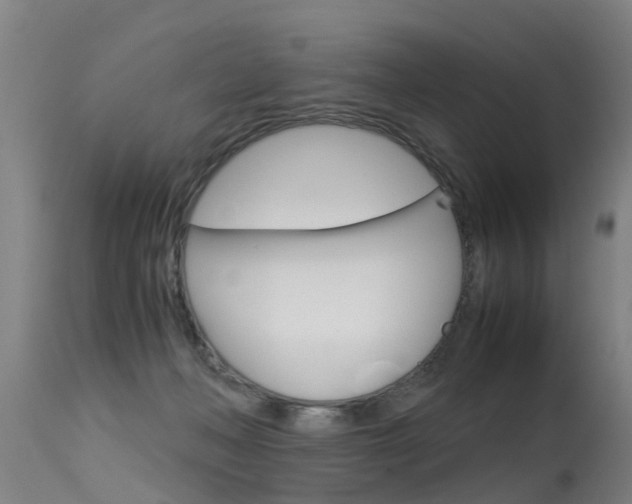 X0000115580222200911101001