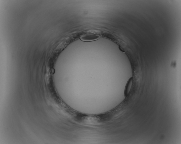 X0000115580223200911101001