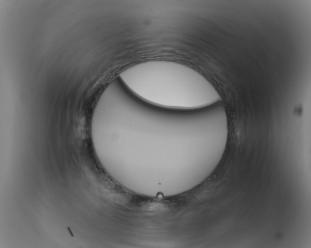 X0000115580224200911101001