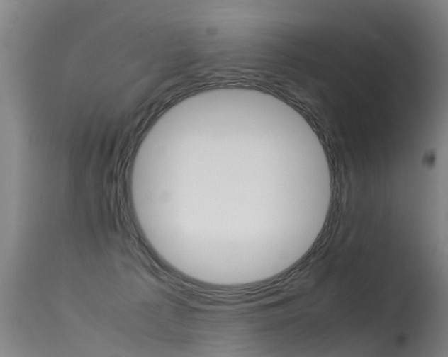 X0000115580225200911101001