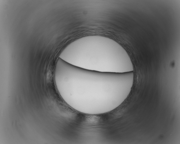 X0000115580226200911101001