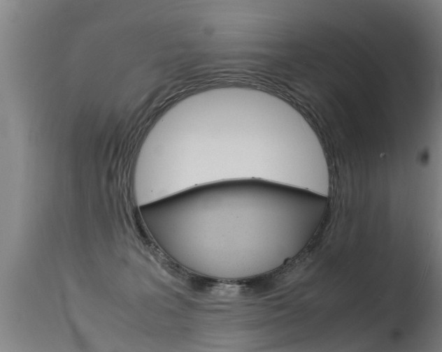 X0000115580227200911101001