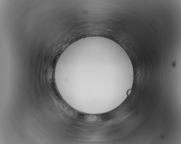X0000115580230200911101001
