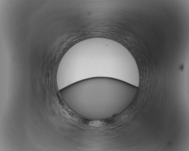 X0000115580231200911101001