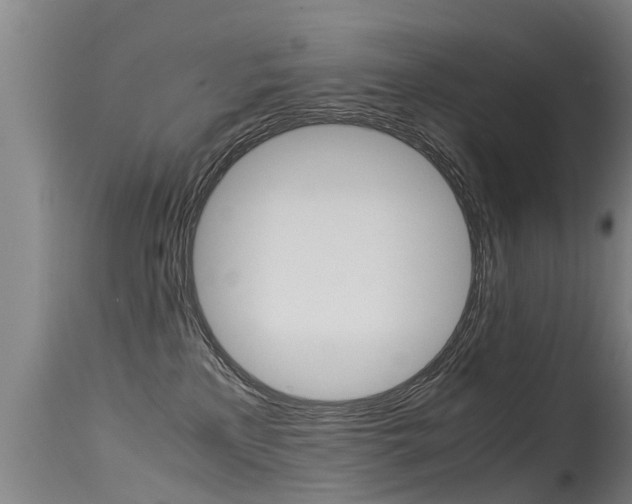 X0000115580233200911101001