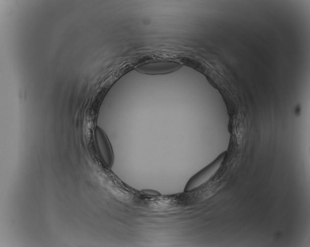 X0000115580235200911101001