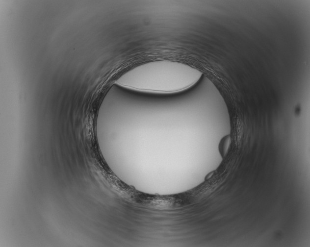X0000115580236200911101001