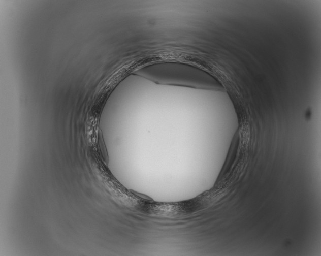 X0000115580237200911101001