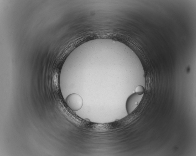 X0000115580238200911101001