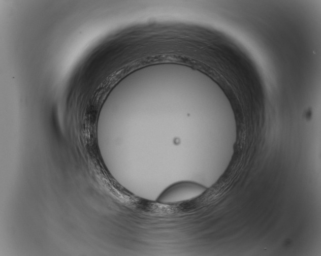 X0000115580239200911101001