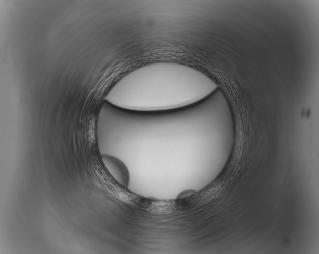 X0000115580240200911101001