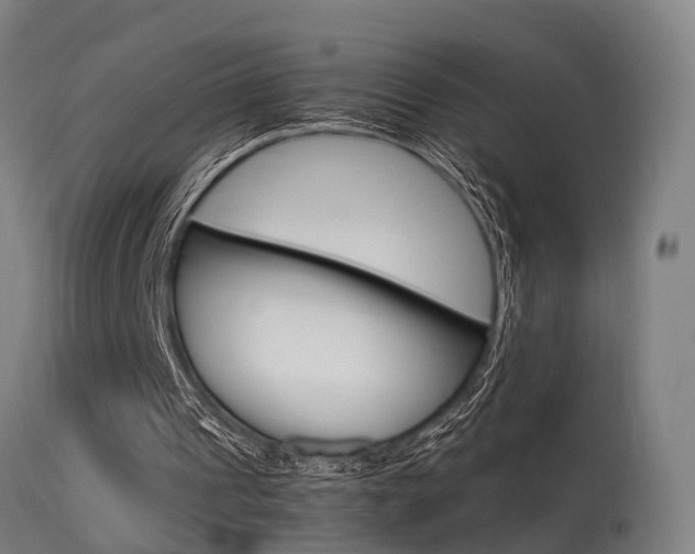 X0000115580241200911101000