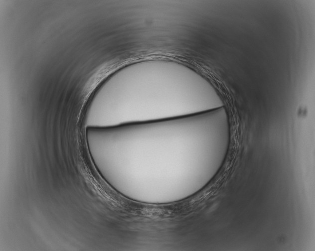 X0000115580242200911101000