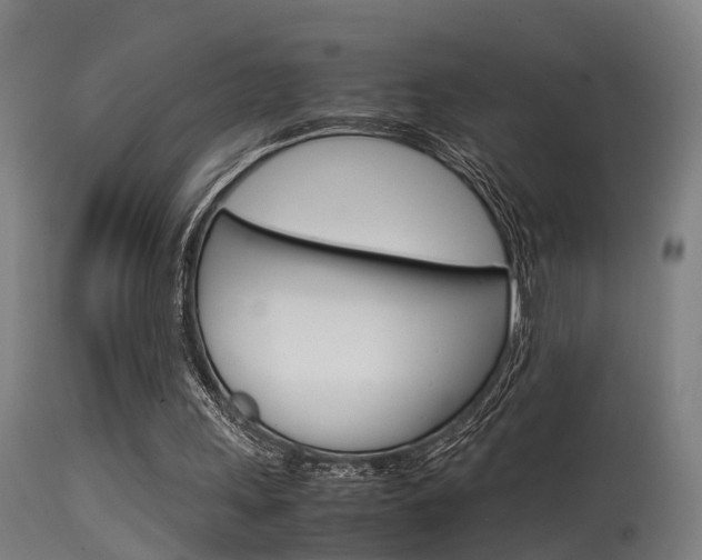 X0000115580243200911101000