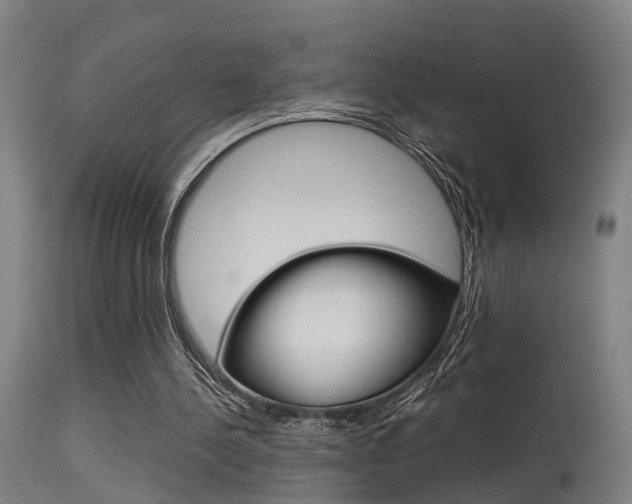 X0000115580244200911101000