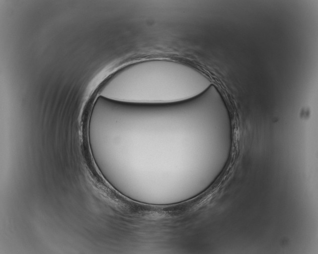 X0000115580246200911101000
