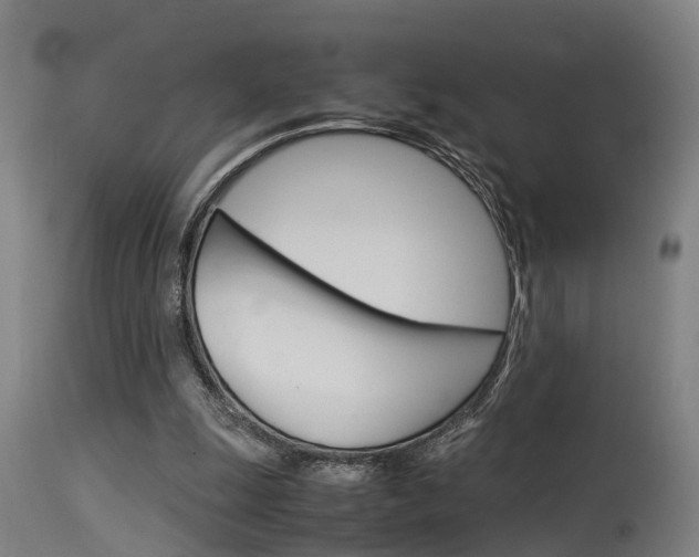 X0000115580247200911101000