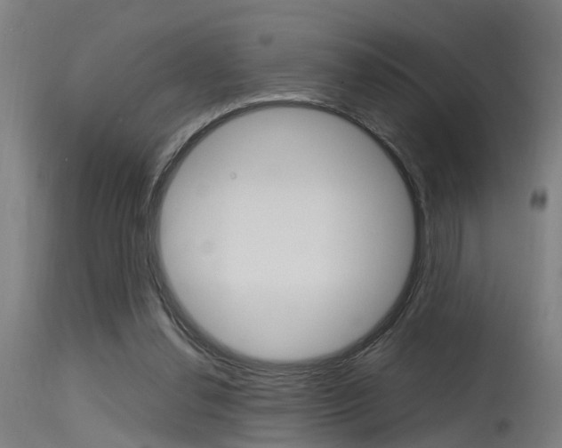 X0000115580252200911101000