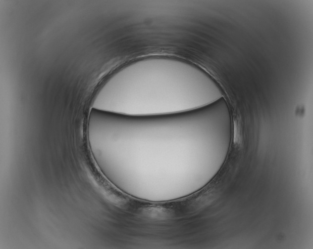 X0000115580253200911101000